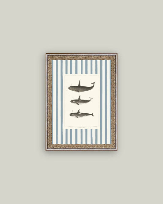 Whales on Stripes Framed Antique Art