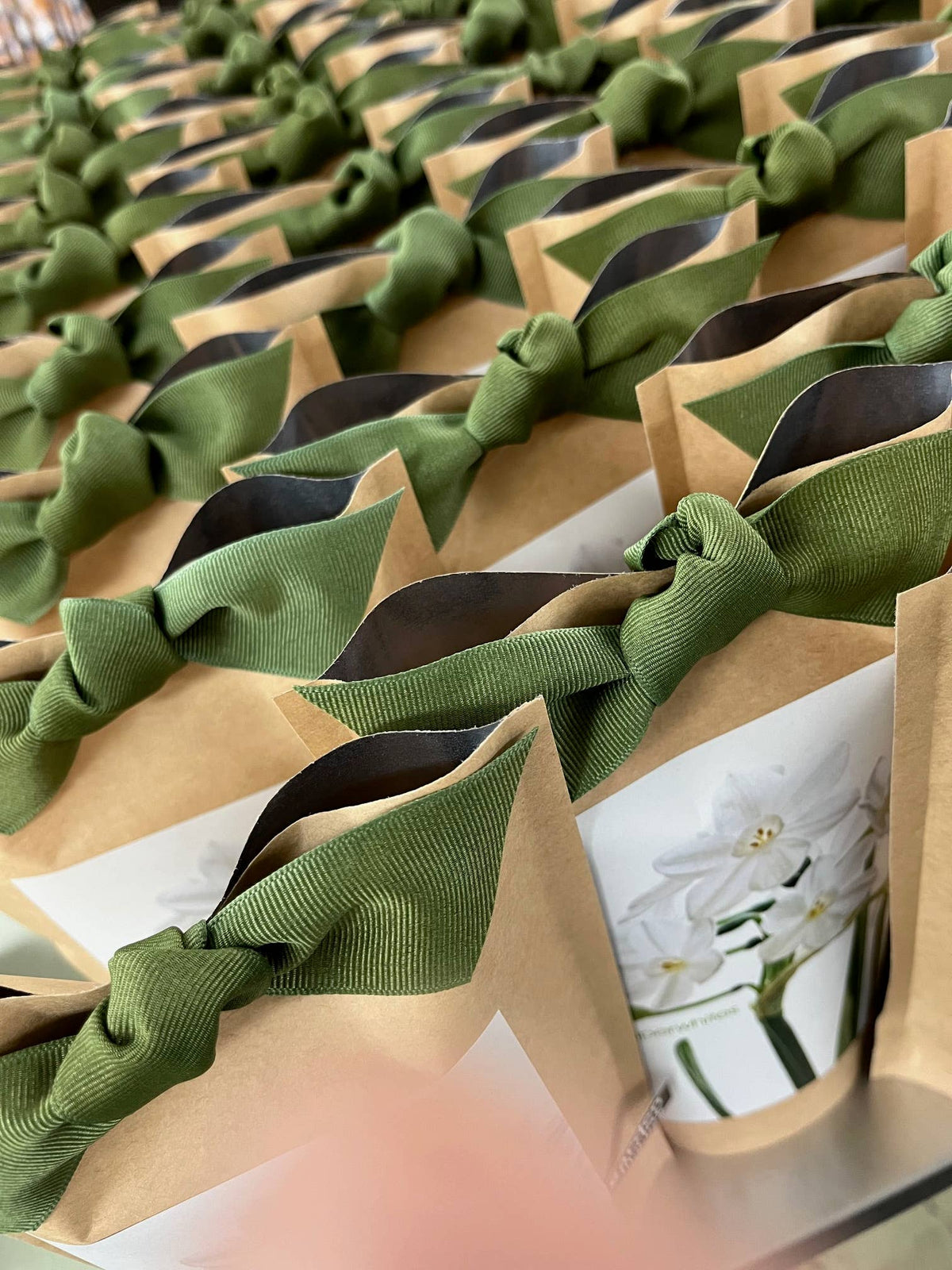 Garden in a Bag Paperwhites | Fall & Christmas