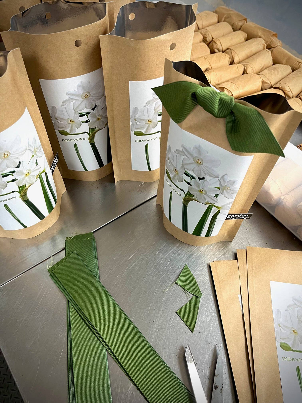 Garden in a Bag Paperwhites | Fall & Christmas