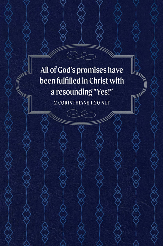 100 Bible Promises for Men