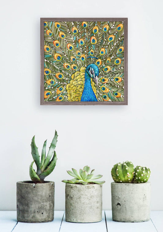 Peaceful Peacock Mini Framed Canvas