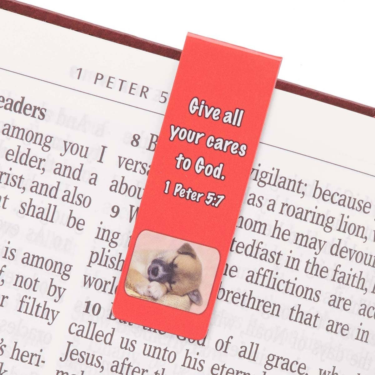 Magnetic Bookmark Set Special Treasure