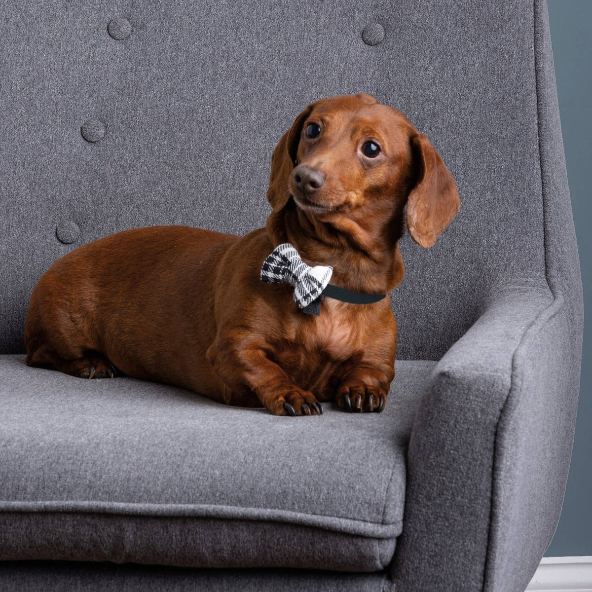 Christmas Plaid Small Pet Bow Tie Set