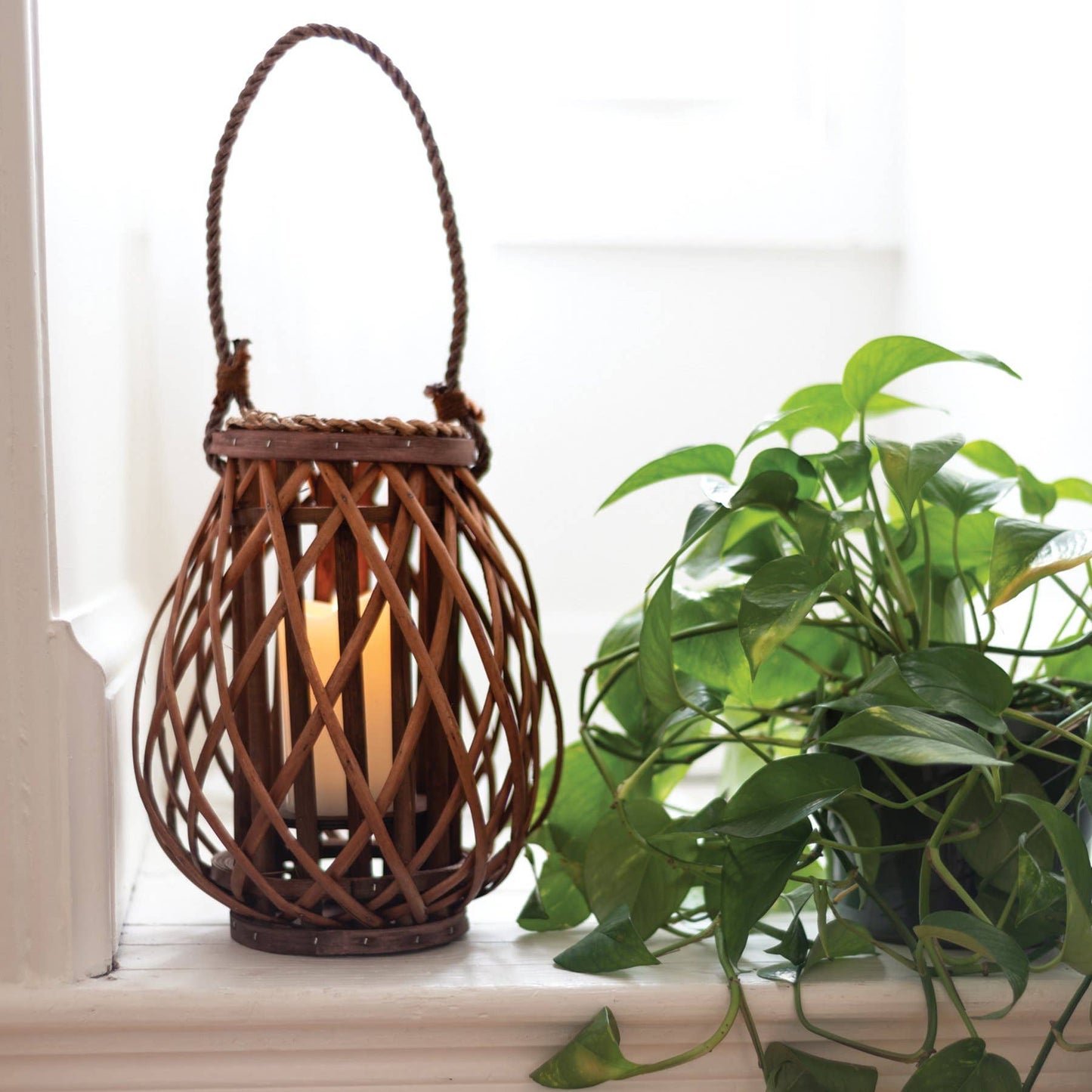 Willow Lantern