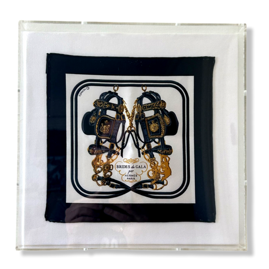 Brides de Gala Acrylic Shadow Box Framed Vintage Silk Scarf 10"