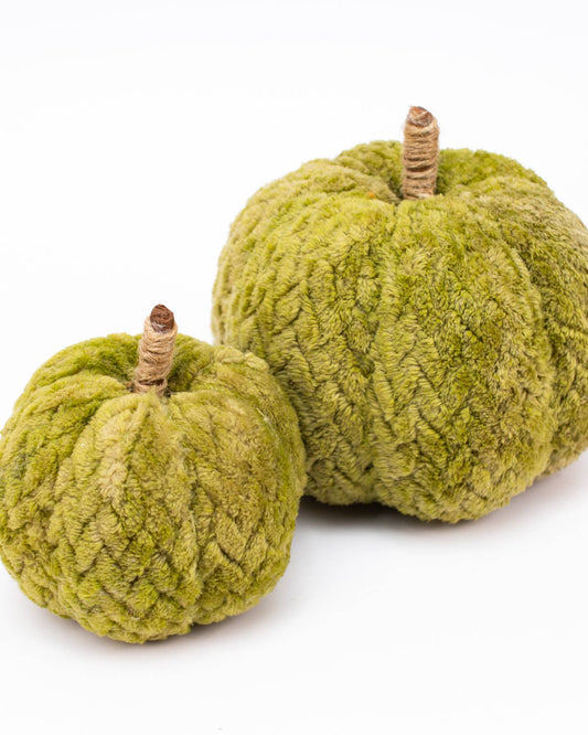 Hutchinson Pumpkin   Green   4"