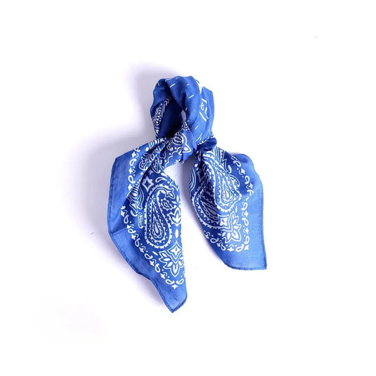 The Lord Is In Control Blue Bandana