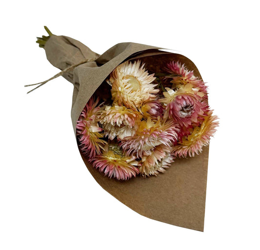 MINI Strawflower Bundle: Pink #172