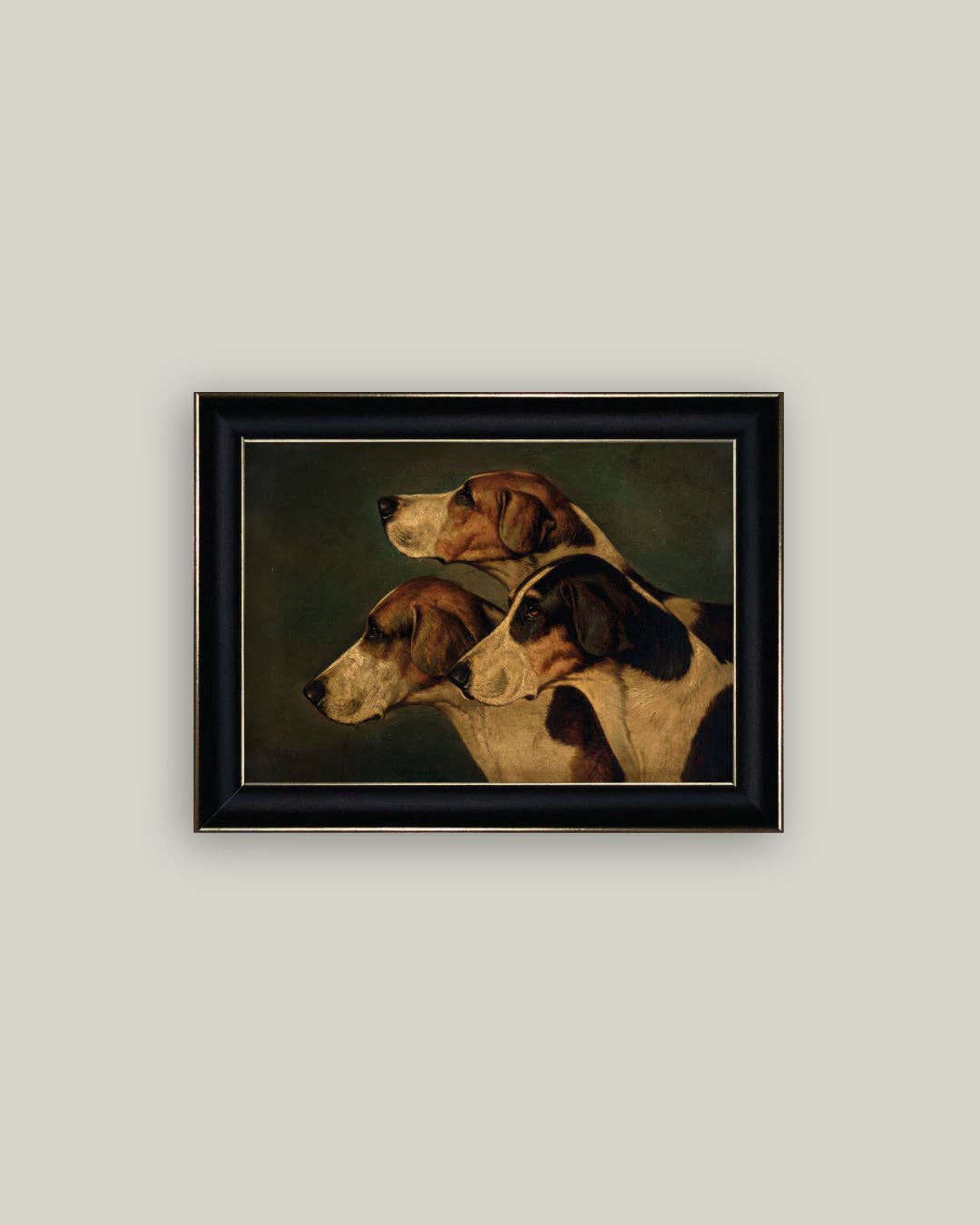 Three English Foxhounds