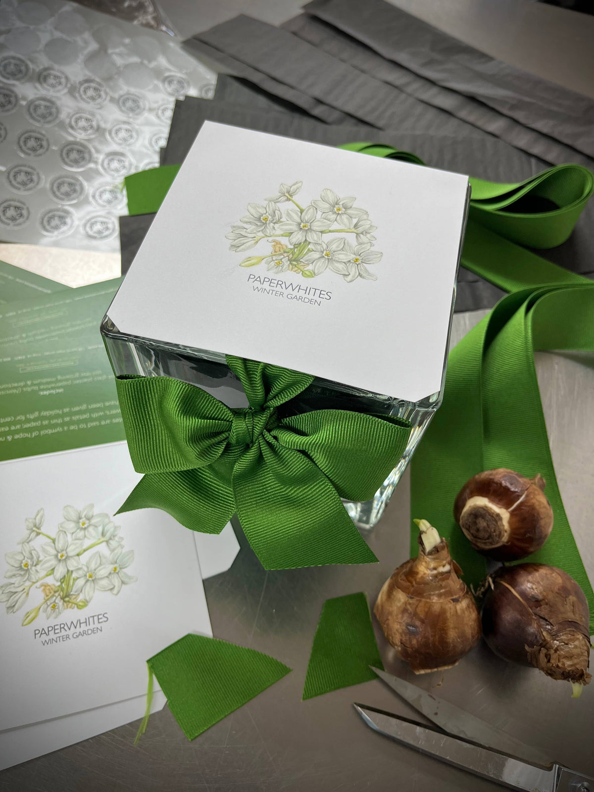 Garden in a Bag Paperwhites | Fall & Christmas