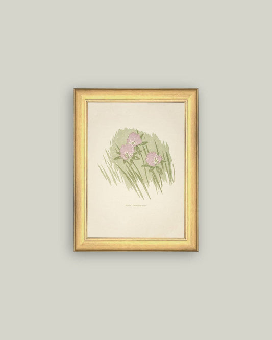 Clover Framed Antique Art