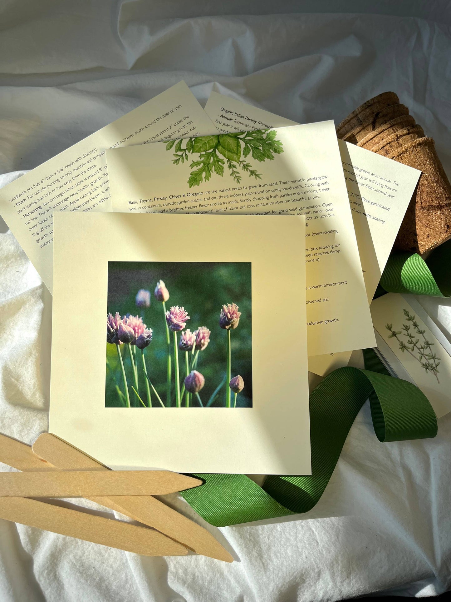 NEW Culinary Herb Garden Box | Thoughtful Summer Herb Kit