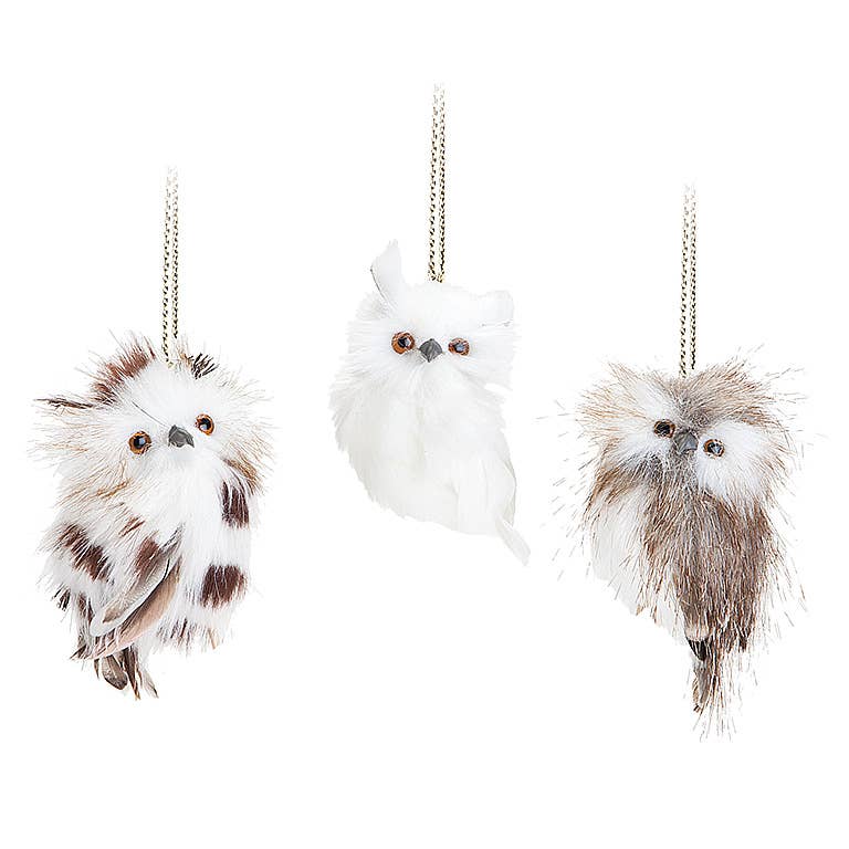 Small Owl Ornament - Assorted-4" Owls