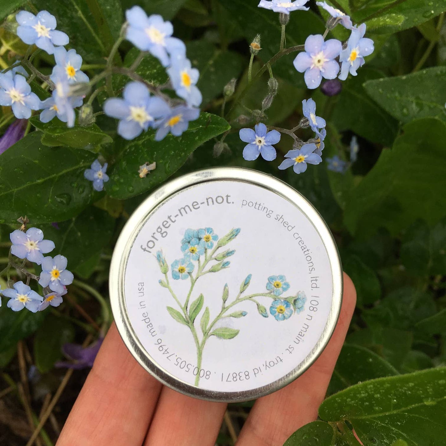 Garden Sprinkles Forget-Me-Not | Wedding flower favor idea