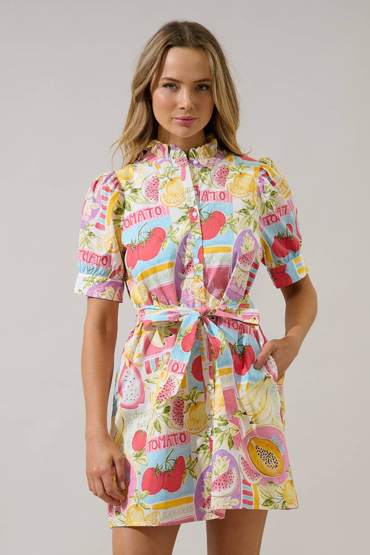 Button Down Mini Dress Farmers Market