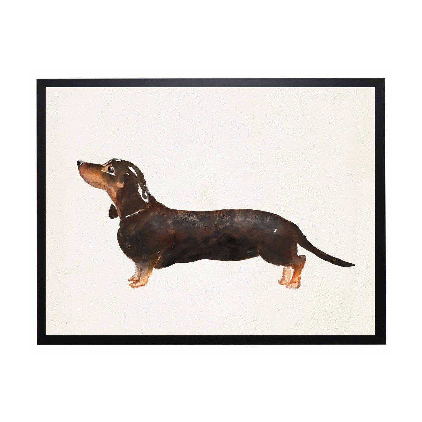 Watercolor Dachshund DD