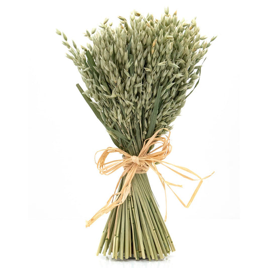 Dried Avena Bundle #21