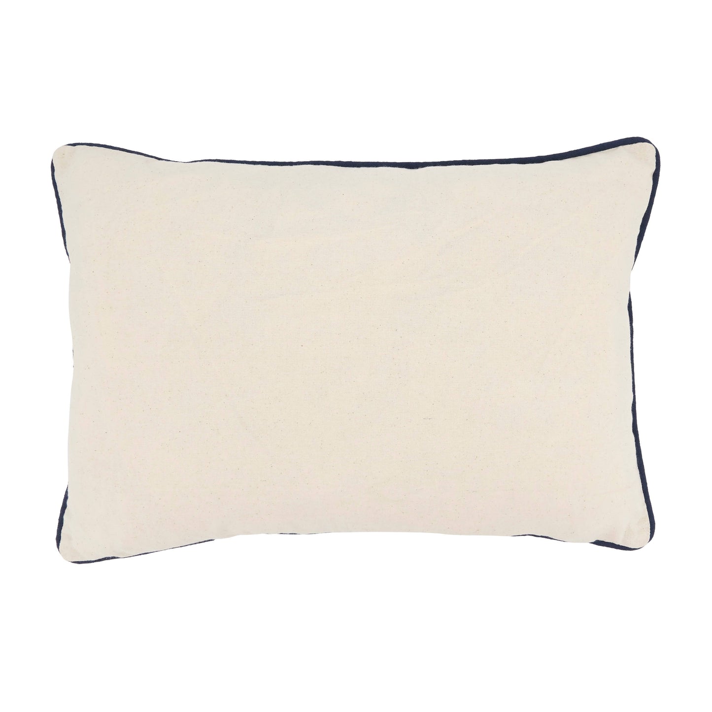 Aquatic Dreams Turtle Throw Pillow Cover