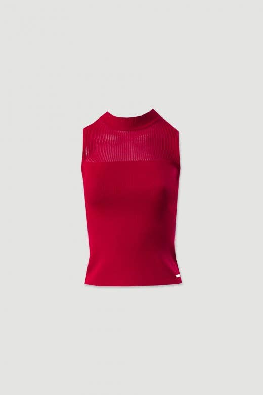 Knit Top with Turtleneck and Transparency
