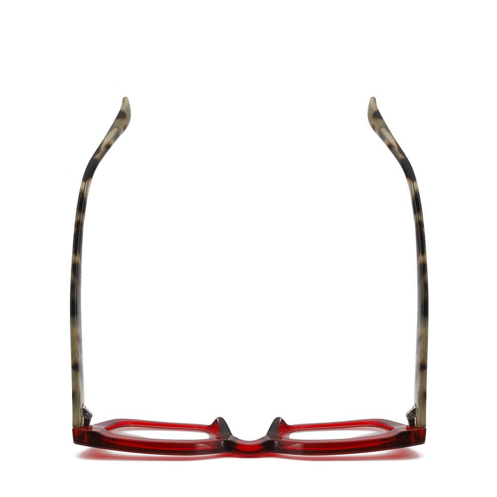 Readers - NESS | Transparent Red | Grey Tortoise | Blue Light