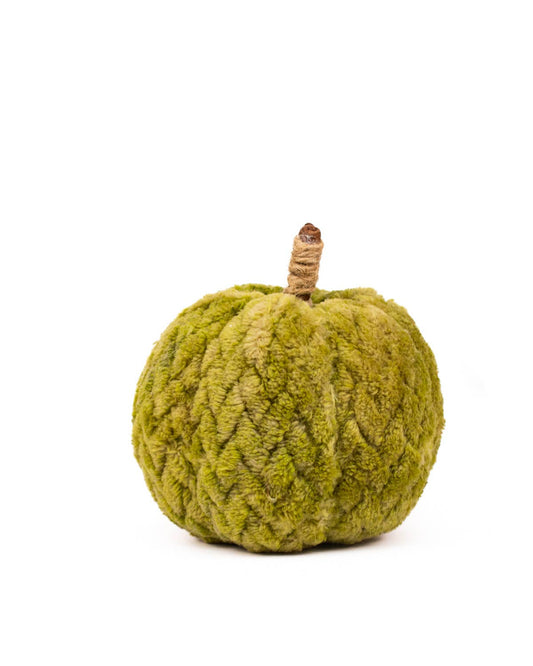 Hutchinson Pumpkin   Green   4"
