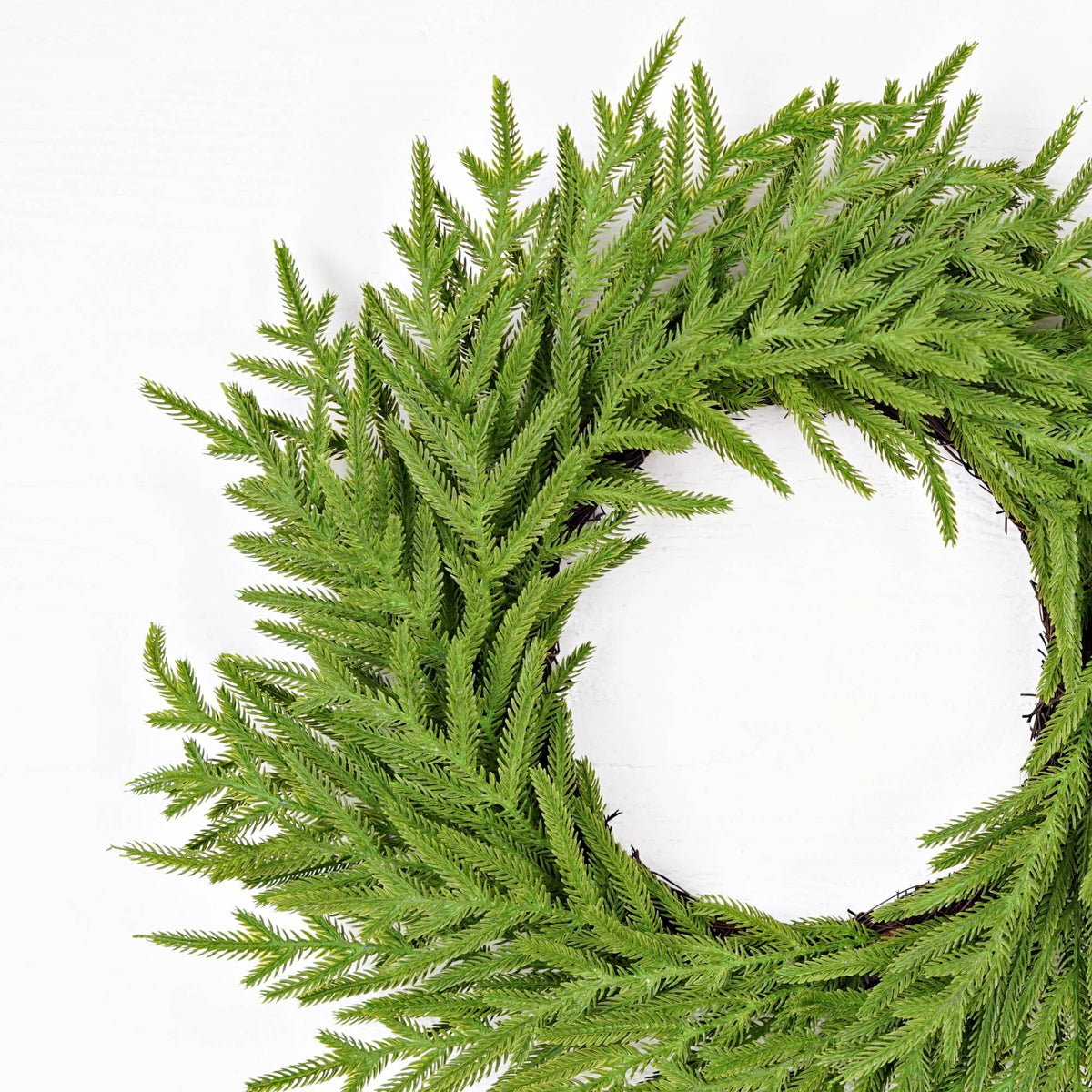 Twig Wreath-Soft Touch Evergreen Norfolk Pine-
