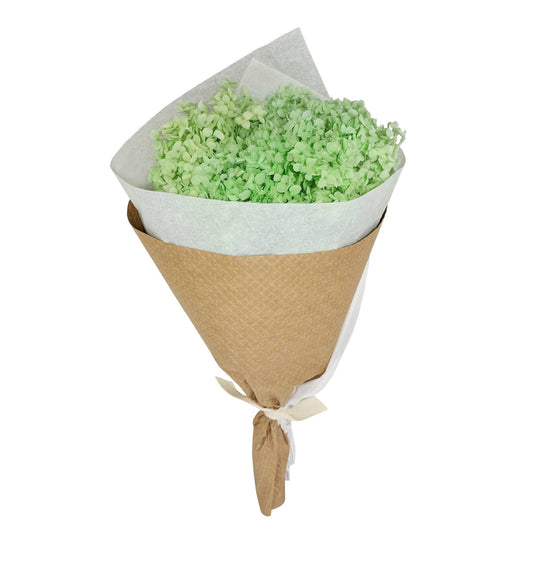 Light Green Preserved Hydrangea #158