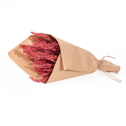 MINI Amaranthus Bundle #88
