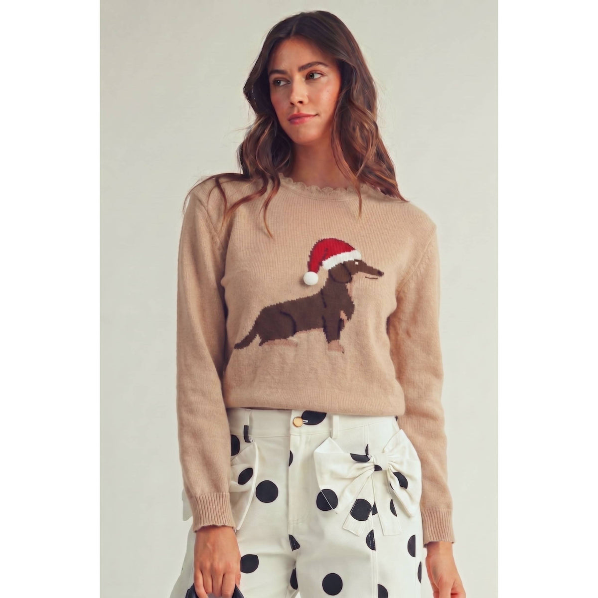 Santa Dachshund Christmas Sweater