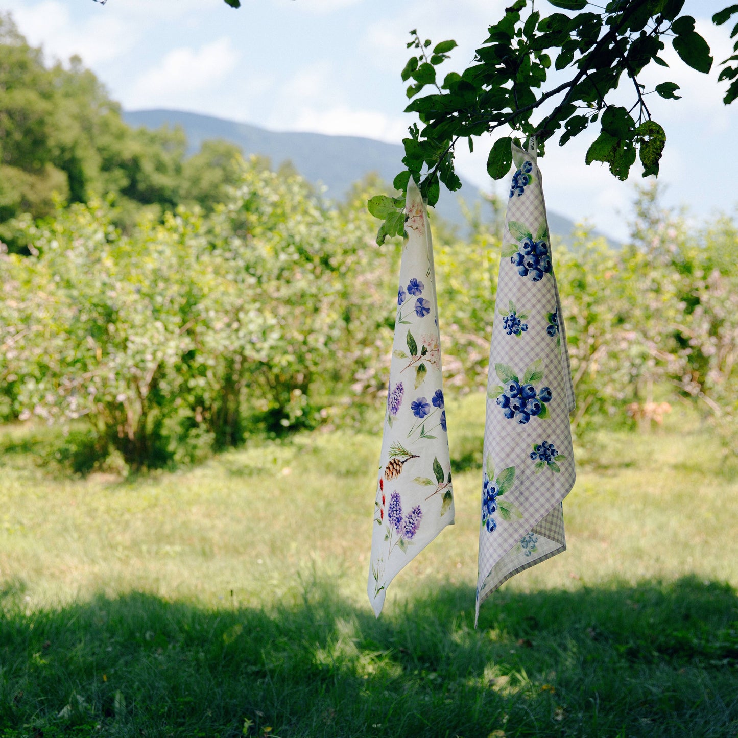 Blueberries - Tea Towel