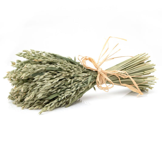 Dried Avena Bundle #21