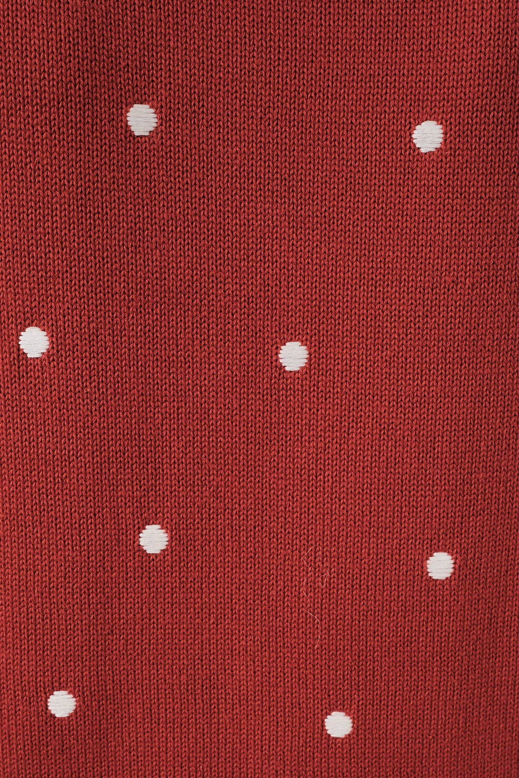 Polka Dot Embroidered Sweater