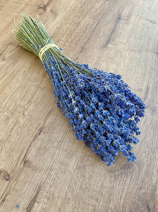 Lavender - Dark Purple 