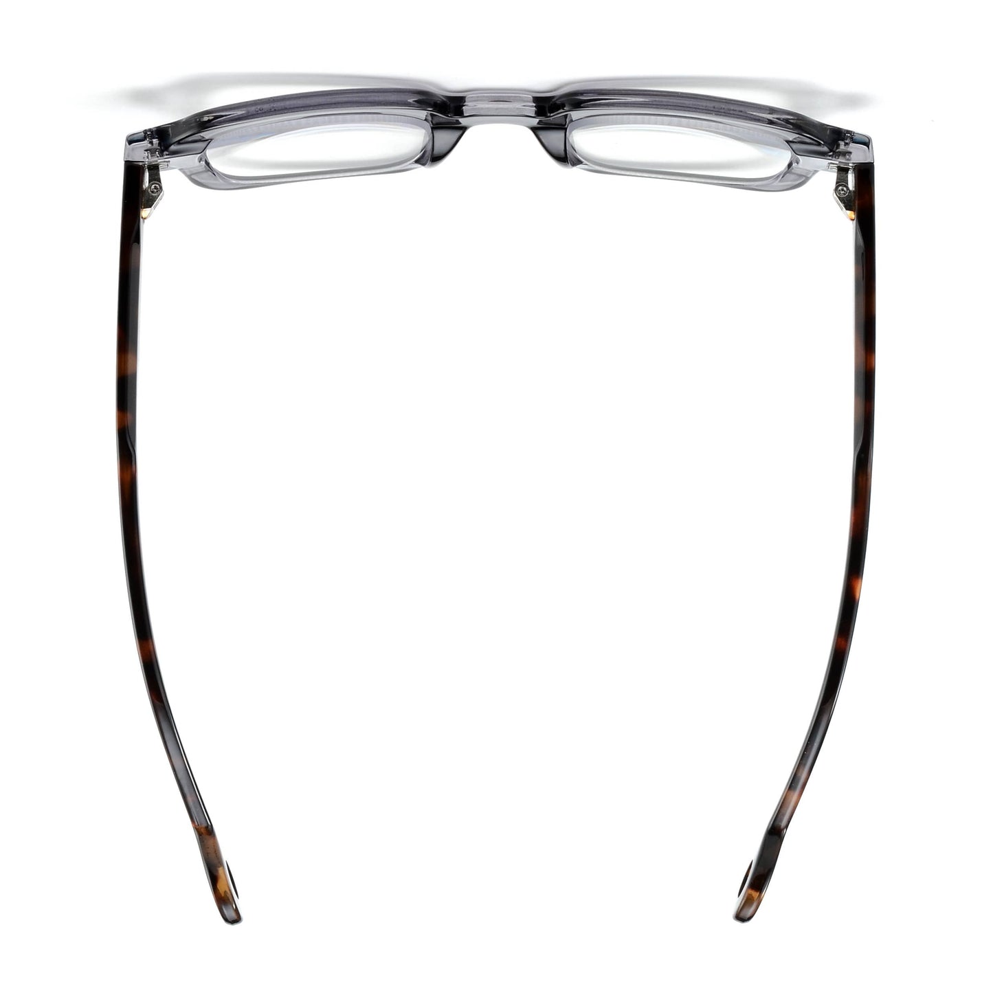 CAIN | Transparent Grey | Tortoise Temples | Blue Light