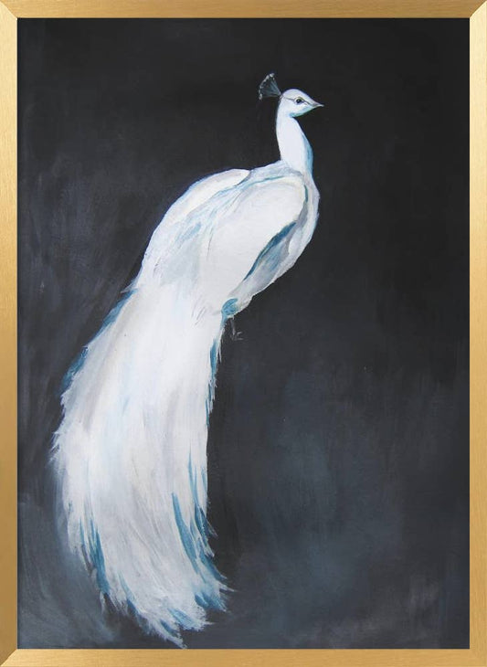 "Majestic White Peacock" Framed Print Wall Art