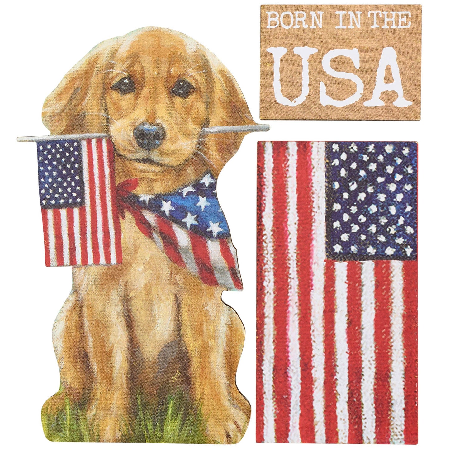 Born In The USA Magnet Set