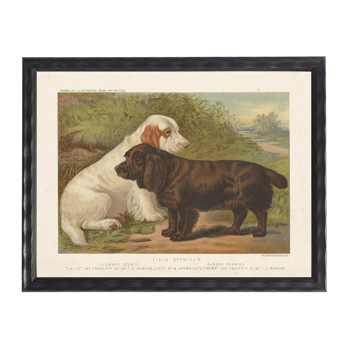 Vintage spaniels on distressed background