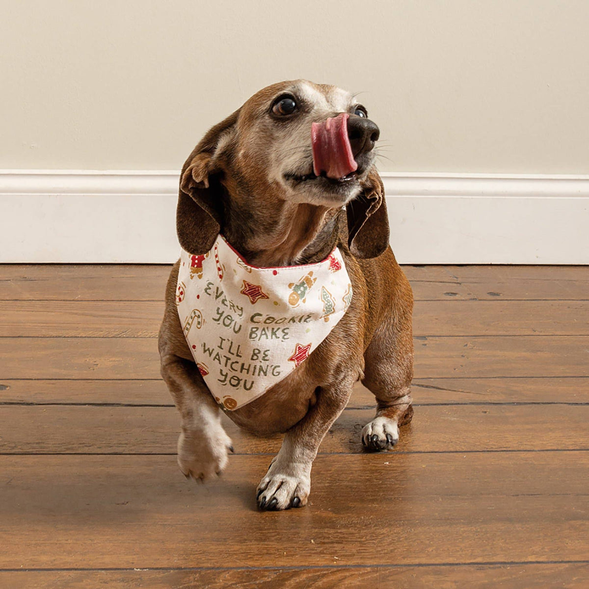 Elf Made Me/You Bake Small Collar Bandana