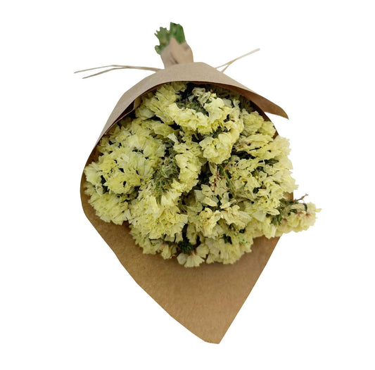 MINI Statice Flower Bundle: Yellow #169
