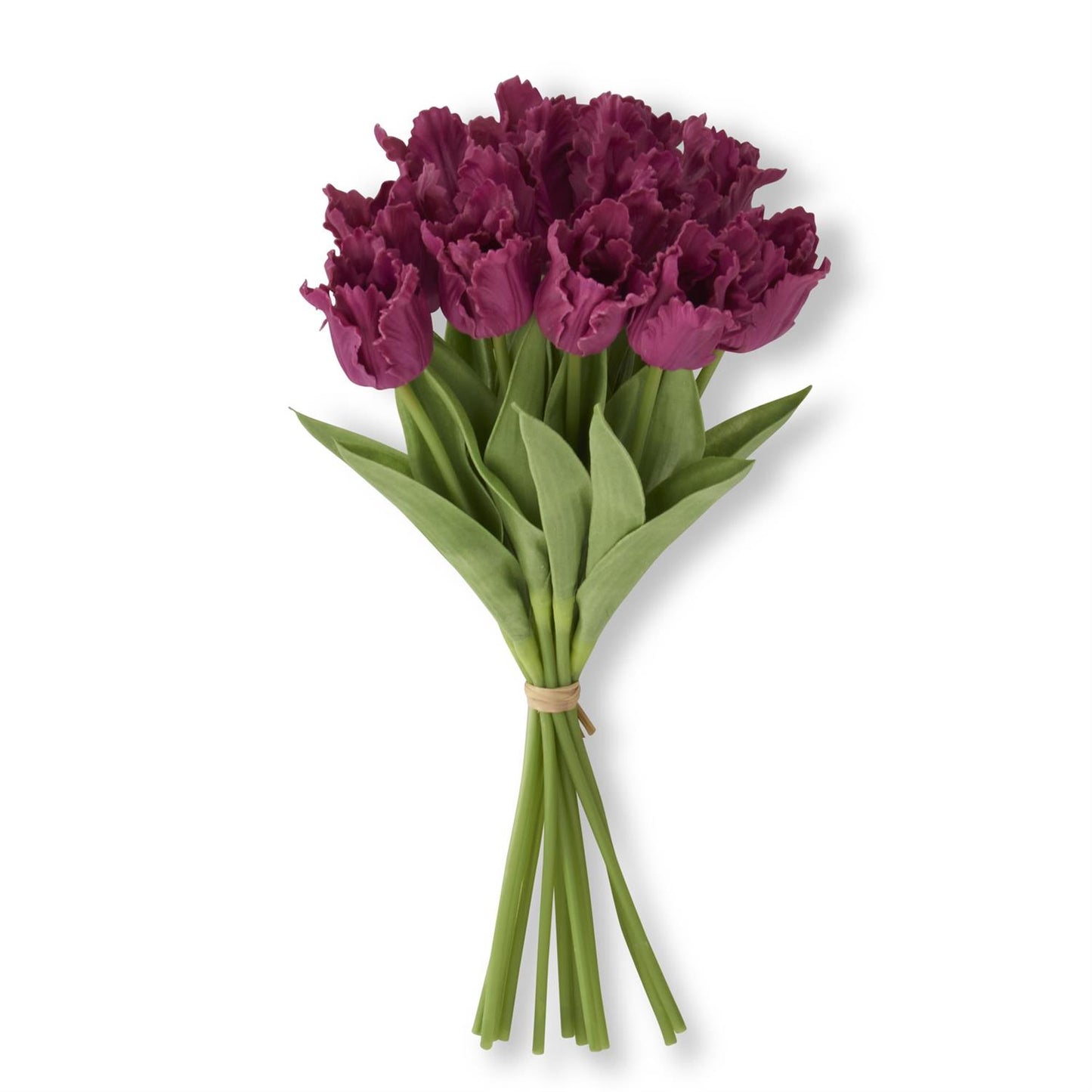 13" Parrot Tulip Bundle 12 Stems